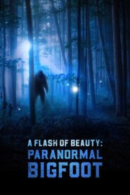 A Flash of Beauty: Paranormal Bigfoot 2024 on netflix