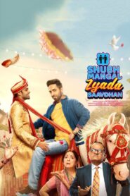 Shubh Mangal Zyada Saavdhan 2020 on netflix