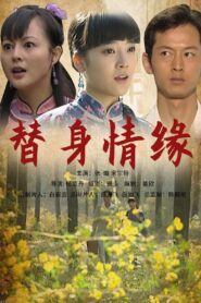 替身情缘 2009 on netflix