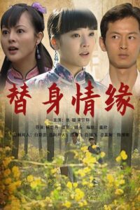 替身情缘 2009 on netflix