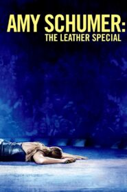 Amy Schumer: The Leather Special 2017 on netflix