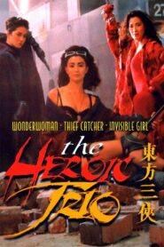 The Heroic Trio 1993 on netflix