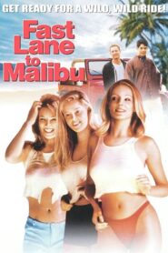 Fast Lane to Malibu 2000 on netflix