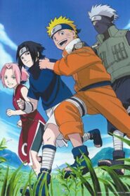 Naruto OVA 3: Hidden Leaf Village Grand Sports Festival! 2004 on netflix