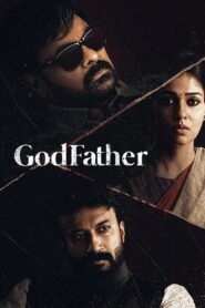 GodFather 2022 on netflix