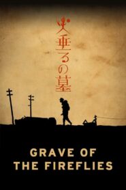Grave of the Fireflies 2005 on netflix