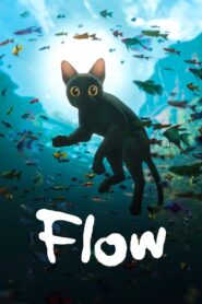 Flow 2024 on netflix