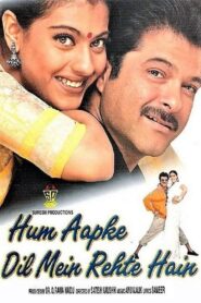 Hum Aapke Dil Mein Rehte Hain 1999 on netflix