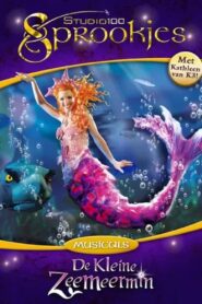 De Kleine Zeemeermin: De Musical 2004 on netflix