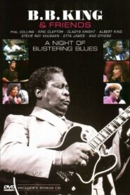 B.B. King & Friends 1987 on netflix