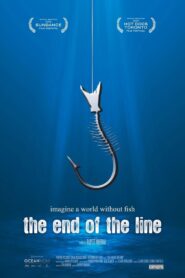 The End of the Line 2009 on netflix