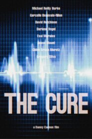 The Cure 2007 on netflix