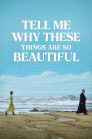 Tell Me Why These Things Are So Beautiful 2024 on netflix
