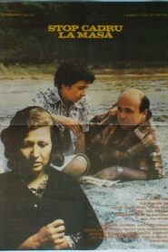 Snapshot Around the Family Table 1980 on netflix