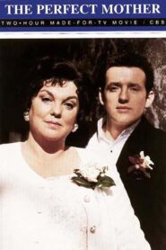 The Perfect Mother 1997 on netflix
