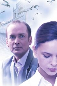 The Stepfather 2007 on netflix