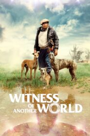 Witness of Another World 2018 on netflix