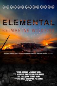 Elemental: Reimagine Wildfire 2022 on netflix