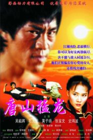 Dragon the Master 2 2002 on netflix