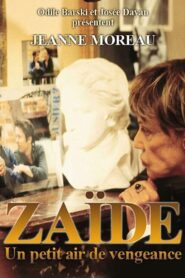 Zaïde, un petit air de vengeance 2001 on netflix