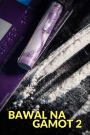 Bawal Na Gamot 2 1995 on netflix