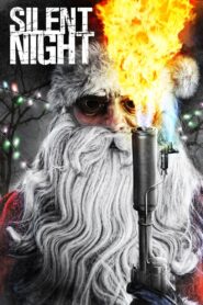 Silent Night 2012 on netflix
