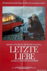 Last Love 1980 on netflix