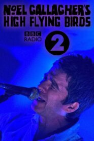 Noel Gallagher’s High Flying Birds: Live at BBC Radio Theatre 2011 on netflix