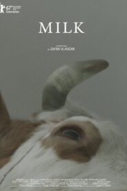 Milk 2017 on netflix