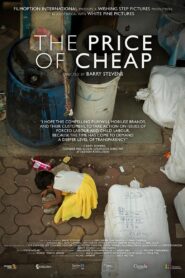 The Price of Cheap 2021 on netflix