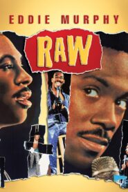Eddie Murphy Raw 1987 on netflix