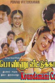 Ponnu Veetukkaran 1999 on netflix