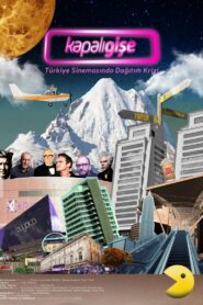 Only Blockbusters Left Alive: Monopolizing Film Distribution in Turkey 2016 on netflix