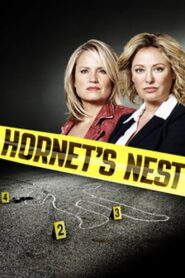 Hornet’s Nest 2012 on netflix
