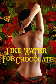 Like Water for Chocolate 1992 on netflix