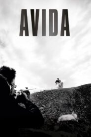 Avida 2006 on netflix