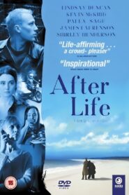 AfterLife 2003 on netflix