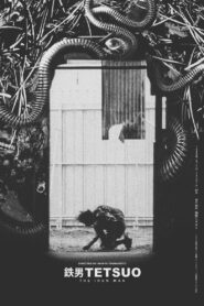Tetsuo: The Iron Man 1989 on netflix