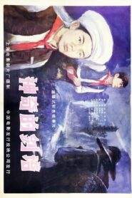 Shen qi de jian ta 1984 on netflix