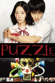 Puzzle 2014 on netflix