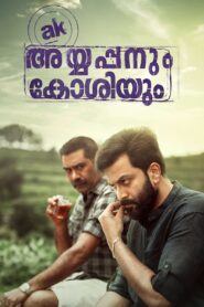 Ayyappanum Koshiyum 2020 on netflix