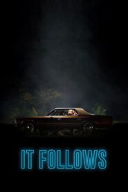 It Follows 2015 on netflix