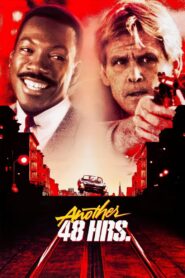 Another 48 Hrs. 1990 on netflix