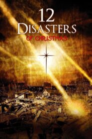 The 12 Disasters of Christmas 2012 on netflix