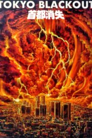 Tokyo Blackout 1987 on netflix