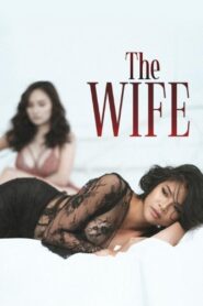 The Wife 2022 on netflix