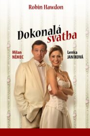 Dokonalá svatba 2011 on netflix