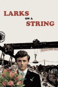 Larks on a String 1990 on netflix