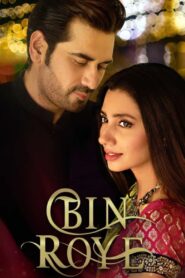 Bin Roye 2015 on netflix