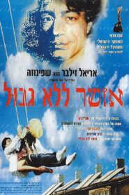 Everlasting Joy 1996 on netflix